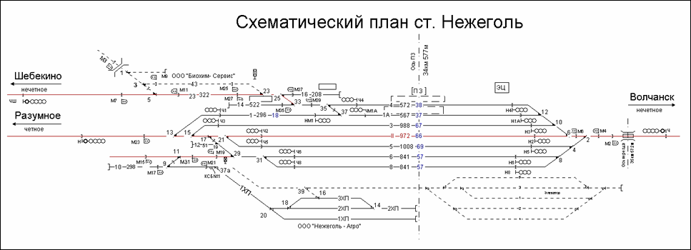 Схематический план станции Нежеголь по состоянию на 2013 год