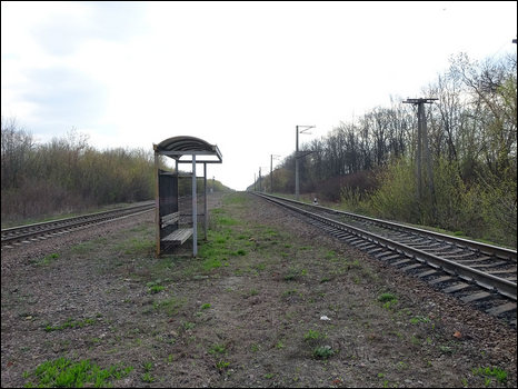 Станция Сараевка (пост 2км). Вид в сторону станции Кривецкая.