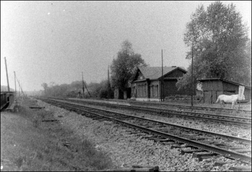 Станция Митягино. Вид в сторону станции Лев Толстой.